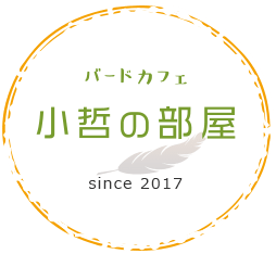 バードカフェバードカフェ　小哲の部屋